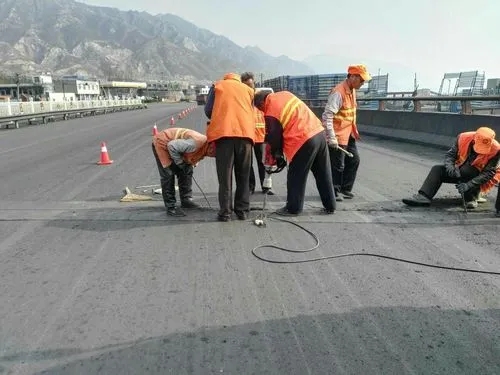 顺城道路桥梁病害治理